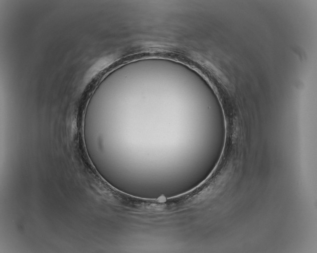 X0000111351261200907171135