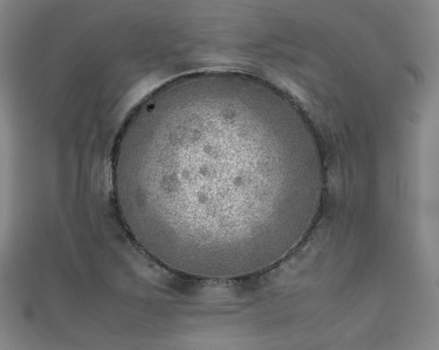 X0000111351267200907171135