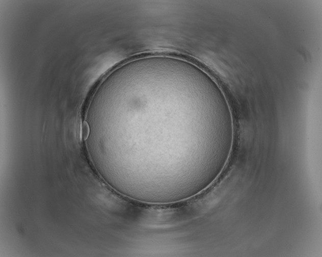 X0000111351269200907171135