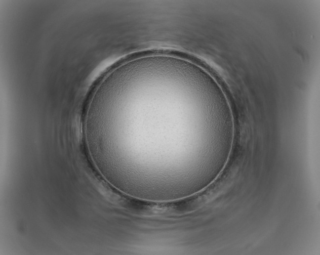 X0000111351271200907171135