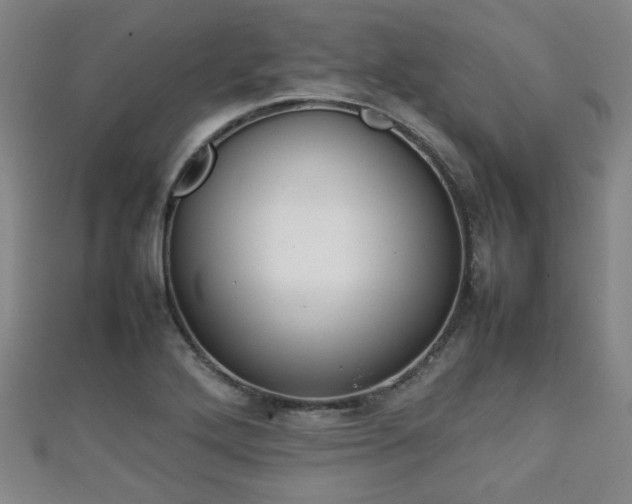 X0000111351272200907171135