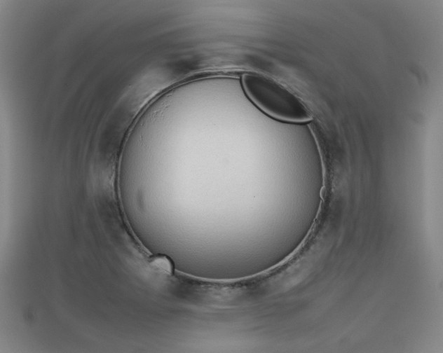 X0000111351273200907171135