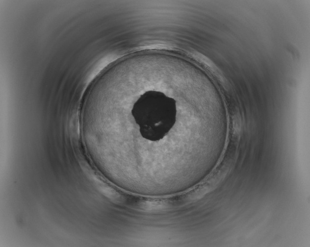 X0000111351274200907171135