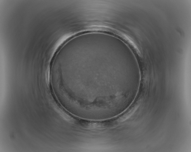 X0000111351275200907171135