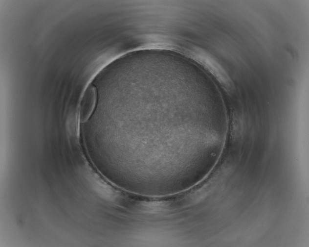 X0000111351276200907171135