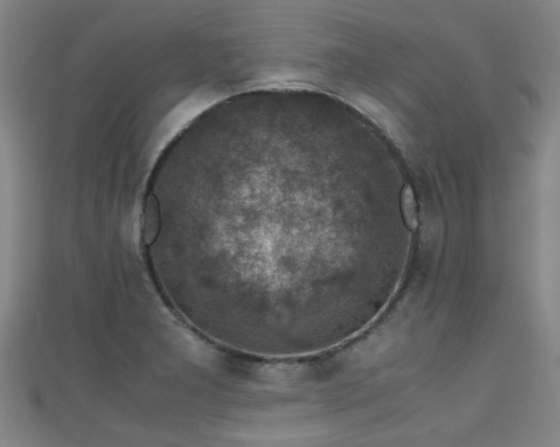 X0000111351277200907171135