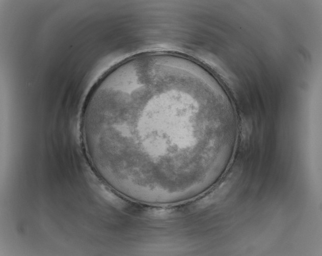 X0000111351278200907171135