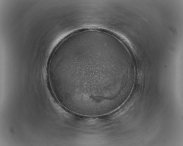 X0000111351279200907171135