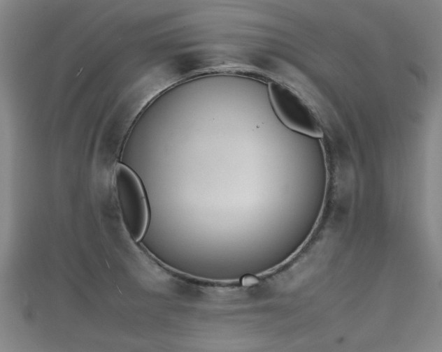 X0000111351281200907171135