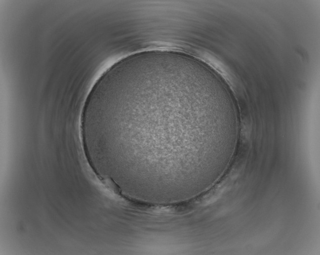 X0000111351283200907171135