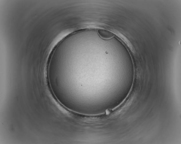 X0000111351285200907171135