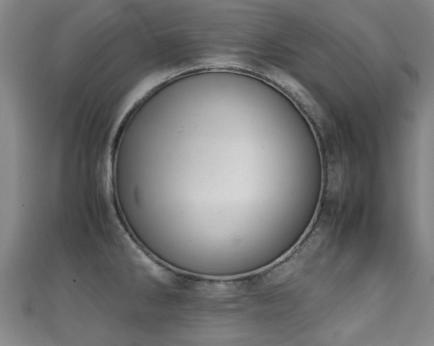 X0000111351286200907171135