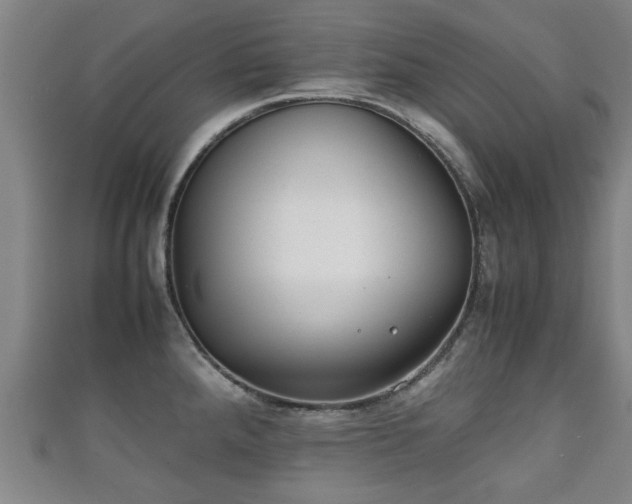 X0000111351288200907171135