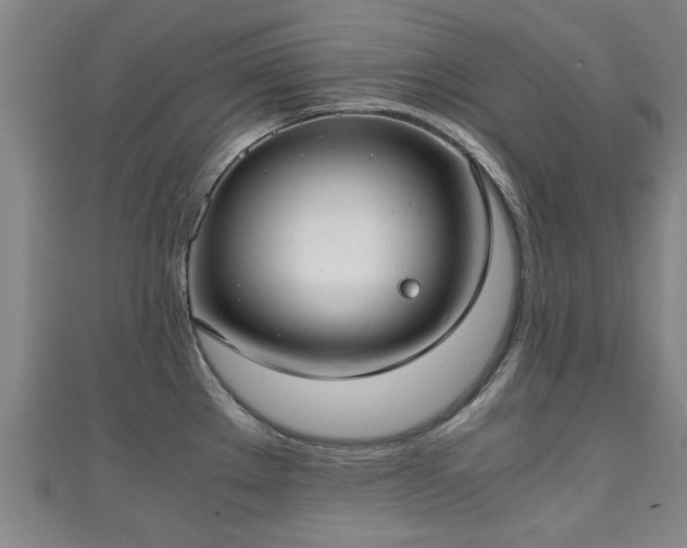 X0000111351289200907171135