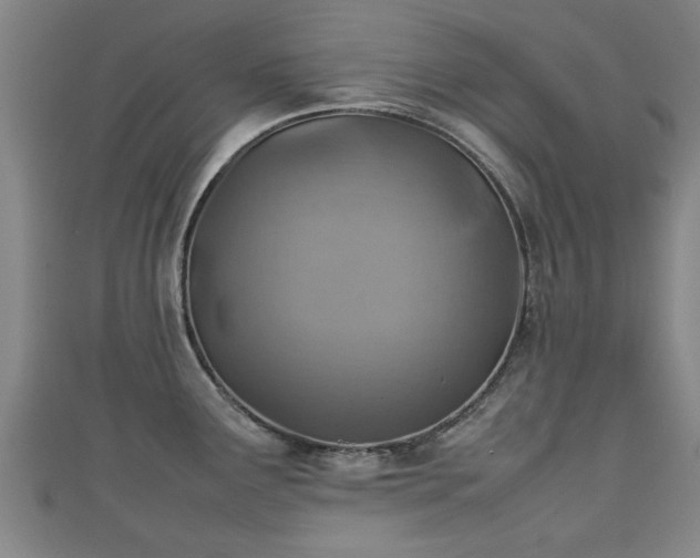 X0000111351291200907171135