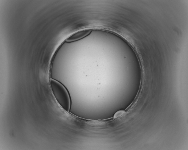 X0000111351296200907171135