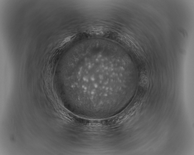 X0000111351297200907171134