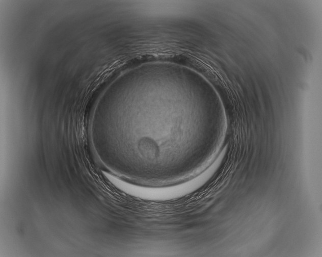 X0000111351298200907171134