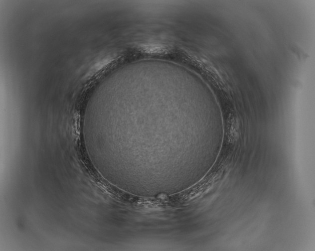 X0000111351301200907171134