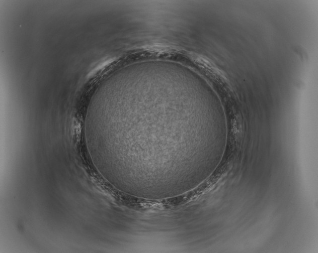 X0000111351302200907171134