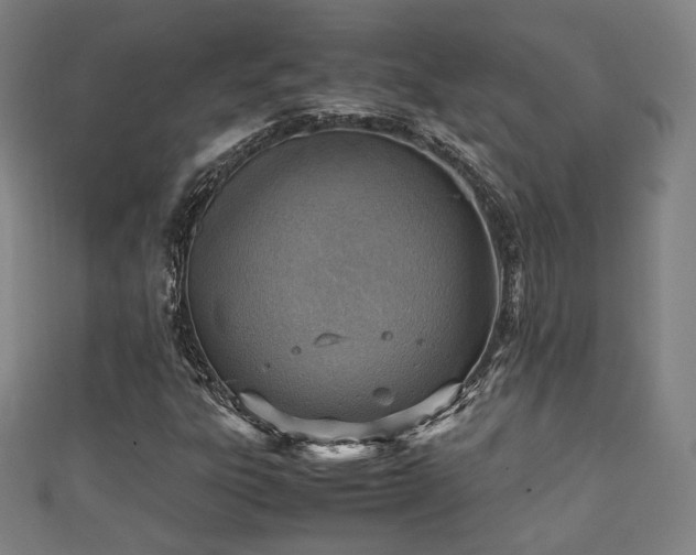 X0000111351303200907171134