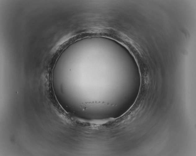 X0000111351304200907171134