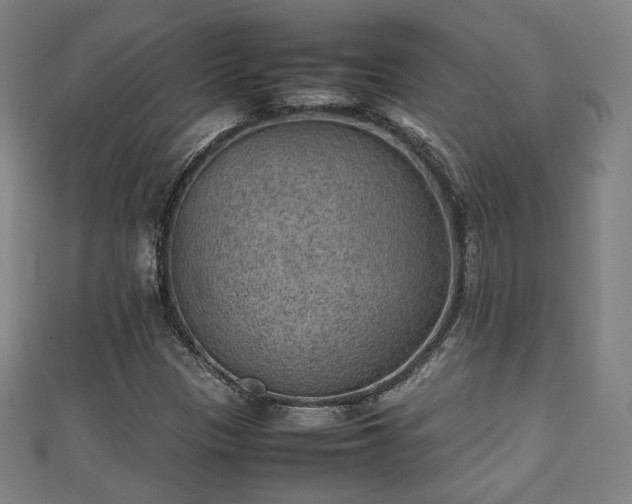 X0000111351305200907171135