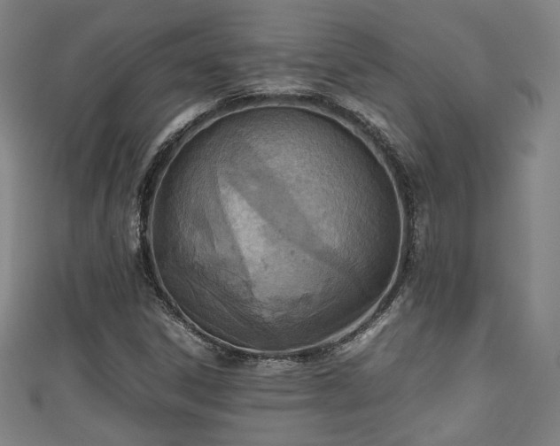 X0000111351306200907171135