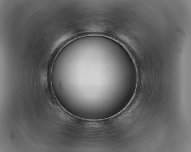 X0000111351307200907171135