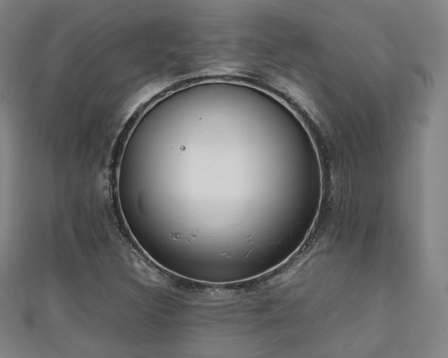 X0000111351308200907171135