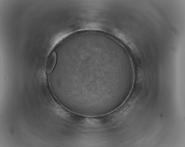 X0000111351312200907171135