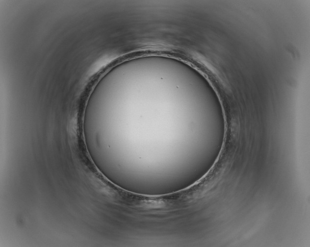 X0000111351315200907171135