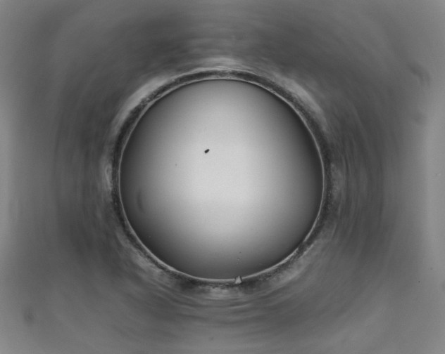 X0000111351318200907171135