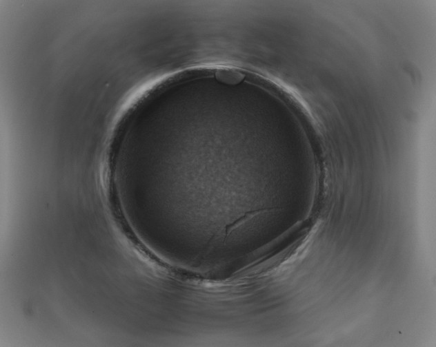 X0000111351319200907171135