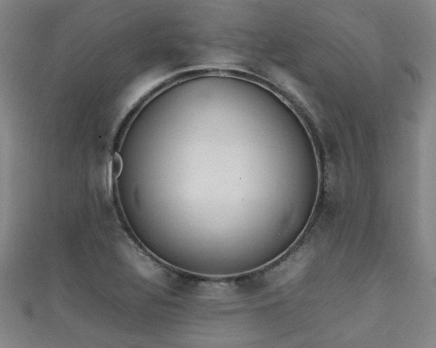 X0000111351320200907171135