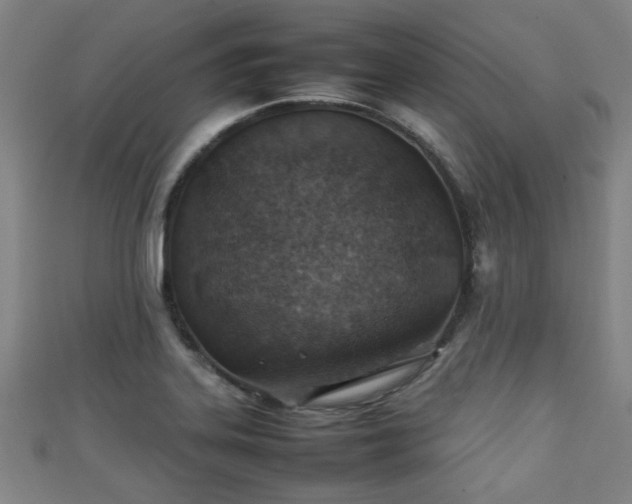 X0000111351323200907171135