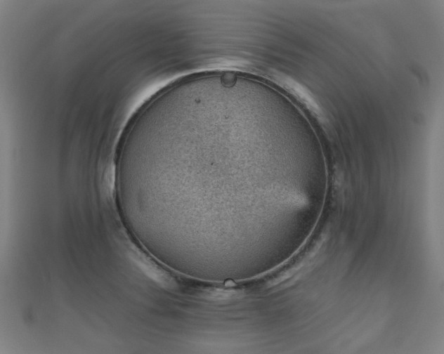 X0000111351324200907171135