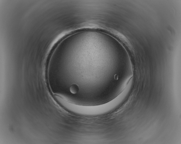 X0000111351326200907171135