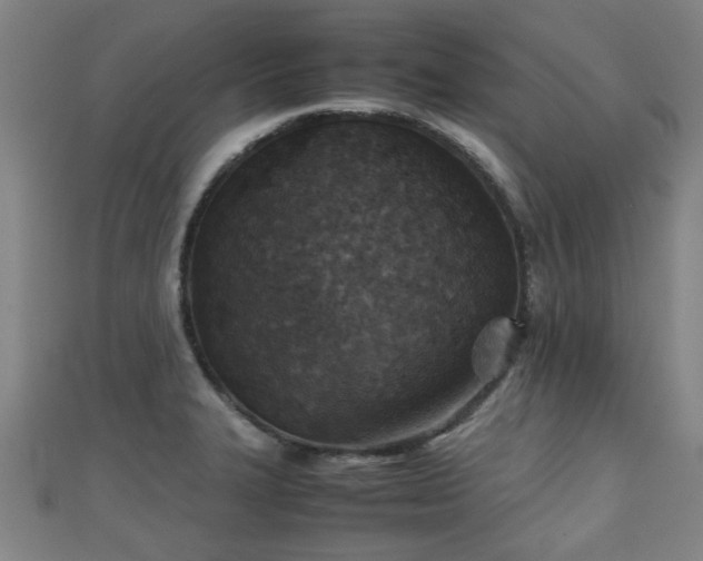 X0000111351327200907171135