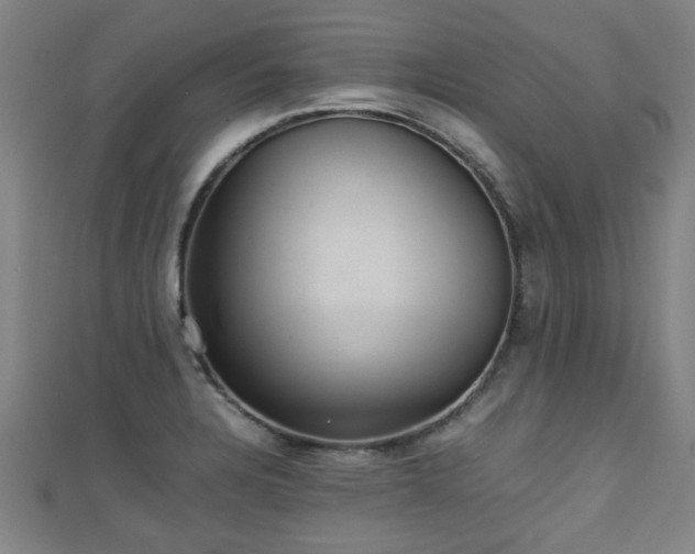 X0000111351328200907171135