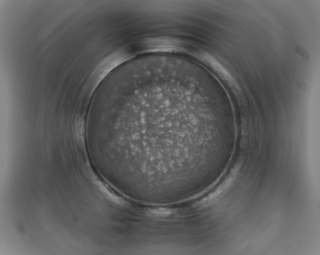 X0000111351329200907171135