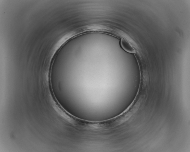 X0000111351330200907171135