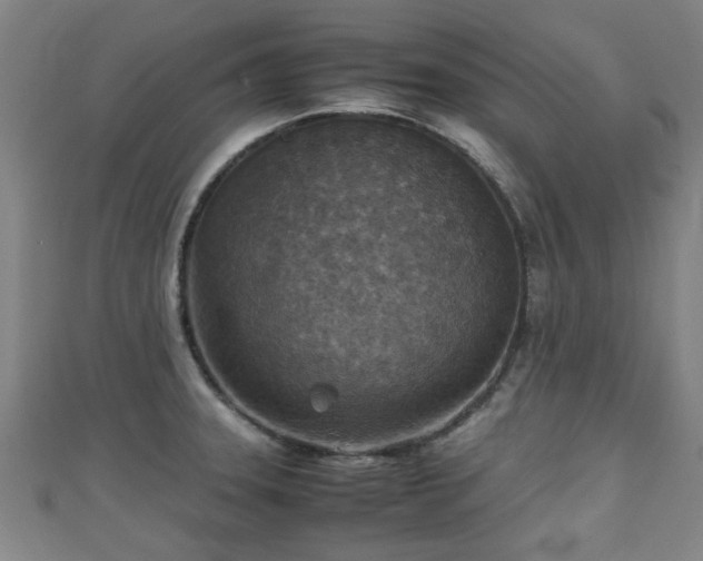 X0000111351331200907171135