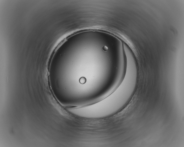 X0000111351332200907171135