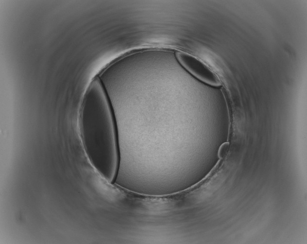 X0000111351336200907171135