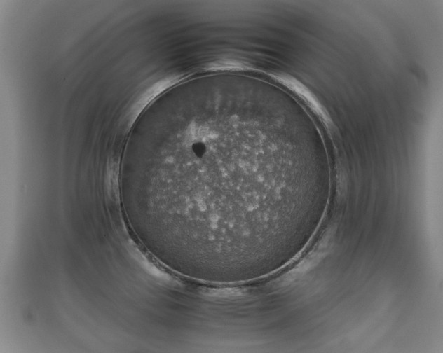 X0000111351337200907171135