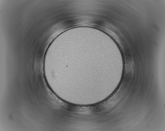 X0000111351338200907171135