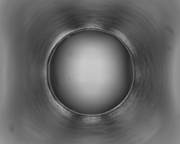 X0000111351339200907171135