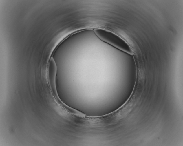 X0000111351340200907171135