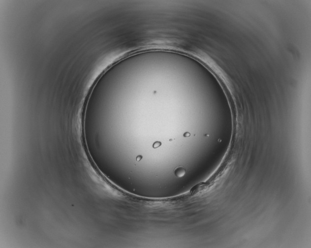 X0000111351341200907171135